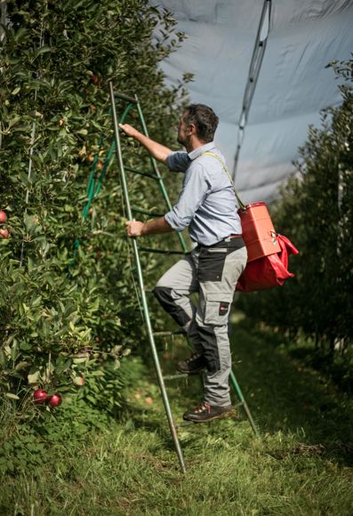 Bernhard Lösch al lavoro