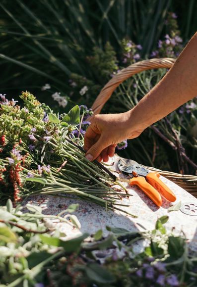 Melanie is picking flowers