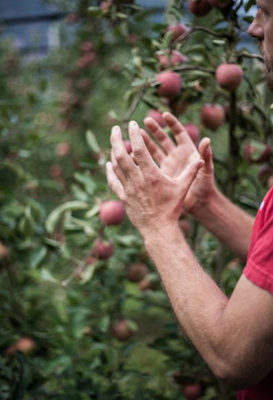 Franz Josef Mair is explaining something