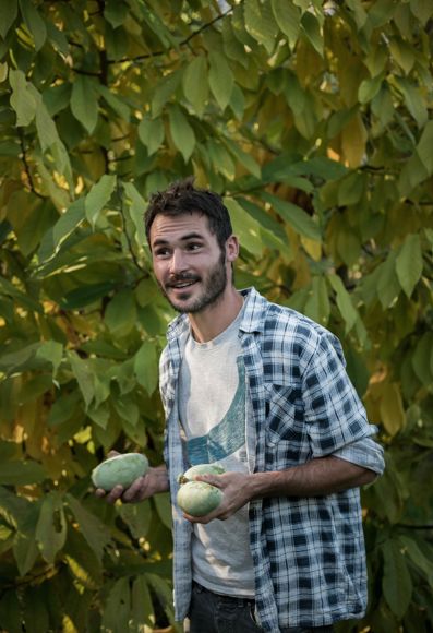 Simon fa vedere i suoi frutti di Asimina