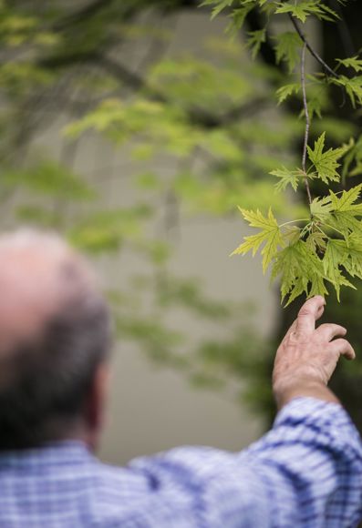 Kuno Christoph is showing something