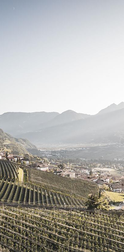 South Tyrol is the land of the apples
