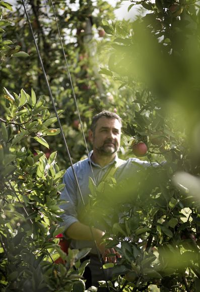 Bernhard Lösch al lavoro