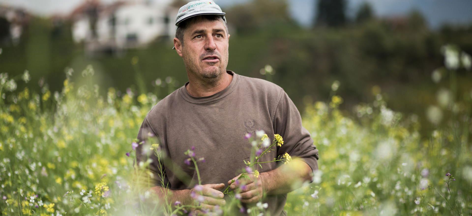 biosuedtirol-2019-107