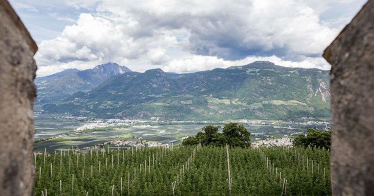 the-medieval-estate-helmsdorf-above-lana