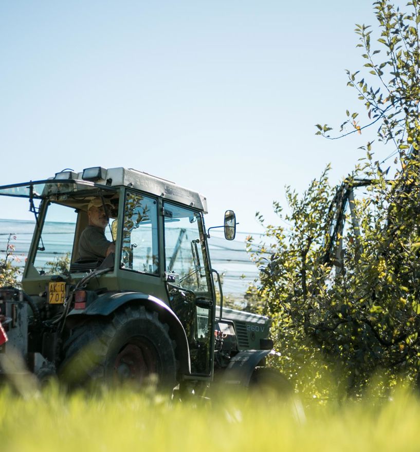 A year in the meadow: In may the farmers use their machines and their know-how to protect the apple trees.