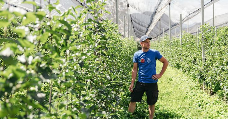 Andrea Zampedri in his orchard
