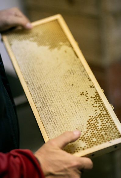 Oswald Rossi raccoglie il miele