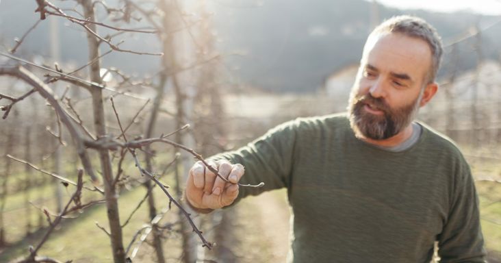 Hannes Felder Marth at work