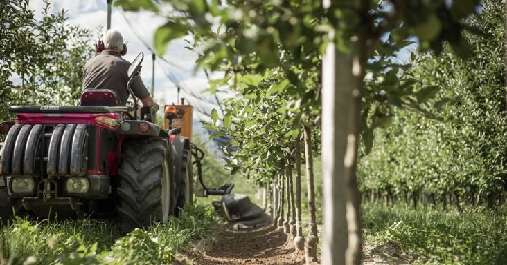 Hubert Ebner auf seinem Traktor