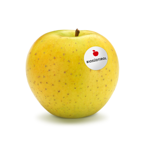 gold-rush-mit-biosuedt