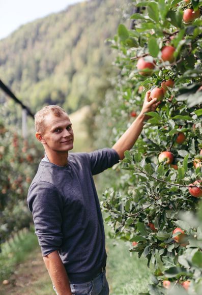 Tobias con i suoi meli