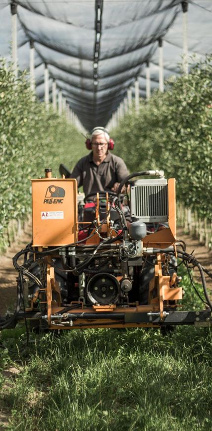 Der Jungbrunnen. Hubert Ebner.