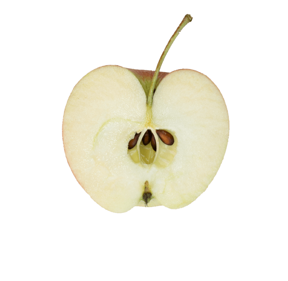 Biosüdtirol - Pinova Apple Sliced