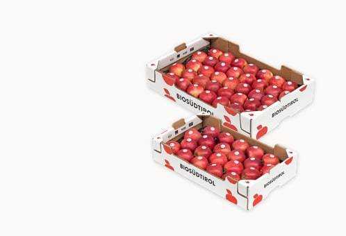 Organic Fuji Apples Biosüdtirol - Organic apples from South Tyrol